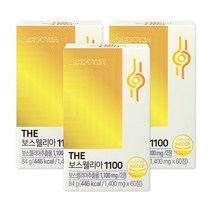 닥터루템 보스웰리아 정 1100mg 3박스 3개월분, 단품, 단품