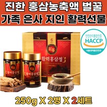 6년근 활력홍삼정 온가족 대용량 선물용 2병 2세트 홍삼스틱 홍삼의효능 홍삼진액 선물세트 홍삼효능 사포닌 진세노사이드 인삼선물세트 남편선물 첫인사선물 홍삼추천