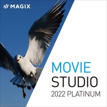 소스 넥스트 MAGIX Movie Studio 2022 Platinum 상위판 가이드북 첨부 Windows 대응 동영상 편집 소프트 비디오 편집 소프트 매수 영구 라이센스