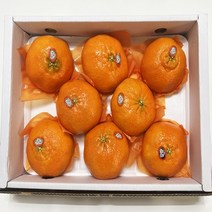 과일Tv 당일경매 제주산 명품 레드향 3kg 선물용 설 명절 선물, 3KG 10수