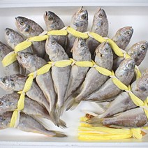 맛본 영광굴비 법성포 명품굴비 추석선물세트, 선물용굴비10미, 소오가10미22cm1.15kg(내외)