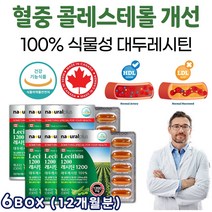 대두 레시틴 콜레스테롤 낮추는 법 포스파티딜 콜린 포스파티콜린 세린 인지질 효능 혈중 콜레스테롤 수치 개선 포스타딜 포스파티 포스타틸 인지력 기억력 향상 캡슐 알약 먹는 정