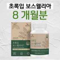 우슬 초록 입 홍합 치커리 보스웰리아 하루 2정 보스웰릭산 초록홍합 버드나무 껍질 홈쇼핑 골드 플래티넘 영양제 프리미엄 성분 가격 효능 비교 부모님 엄마 아빠 시부모님 선물, 8개월분, 1000mg x 60정 (하루두알)