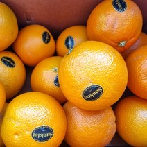 고당도 블랙라벨 정품 오렌지 썬키스트 착한한입, 1개, 2kg
