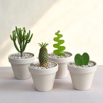 미니선인장 키우기 쉬운 하트호야 피쉬본 파인애플선인장 연필선인장 독일토분, 파인애플선인장 식물만