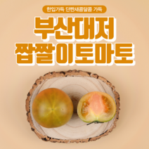 농장직송 부산 대저 짭짜리 토마토 짭짜리토마토 짭짤이 소과 2.5kg 5kg, 2.대저 짭짤이토마토 중(단짠단짠)2.5kg, 1개