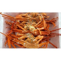 (속초바다애) 속초 홍게 실속형 3KG 찜후 포장 산지직송