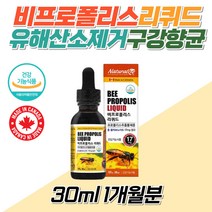 비프로폴리스 로얄 리퀴드 30ml 온가족 항산화 영양제 활성산소 유해산소 제거 구강 향균 케어 관리 입속 냄새 세균 환절기 면역 건강 증진 성장기 청소년 수험생 중학생 고3 주부