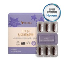 감마리놀렌산 보라지꽃종자유60캡슐 순환영양제 달맞이종자유 달맞이꽃종자유