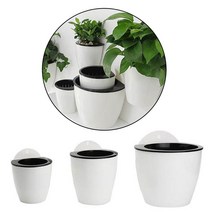 제이와이홀딩스 벽장식 벽걸이 식물 화분