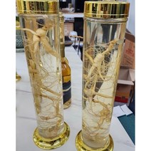 산삼주키트 자연산삼 14년산 3뿌리 세트 백세자연산삼 담금주키트