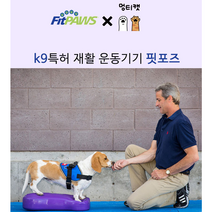 Fitpaws 핏포즈 강아지 훈련 노견 슬개골 디스크 허리 재활 치료 운동 짐볼 K9FITbone, 미듐 1세트, 라즈베리