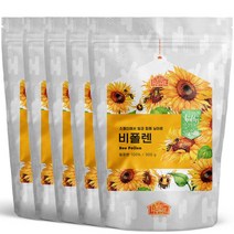 닥터비옴 벌 화분, 5개, 300g