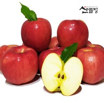 사과10kg햇산지직송홍로 정품 파는곳