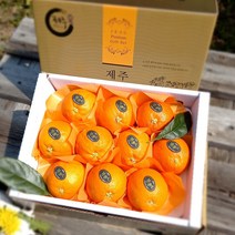 제주블러드오렌지 2kg(선물용 로얄과) 지중해의 뜨거운 햇살과 바람이 담아 제주로부터 스위트오렌지 박스무게포함