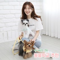 리토가토 러비 커스텀 캐릭터 강아지 하네스 옐로우 (컴퓨터 자수) 동물학교 추천, 베이지