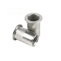 스텐 고정핀 팝너트 볼트 공구 리벳 피스 조립 체결 가공, M10