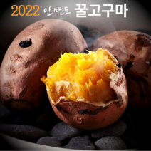 2022 안면도 고구마, 꿀고구마3kg(중상혼합)
