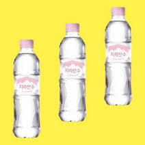 아워홈 지리산수 핑크 500ml 40개