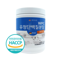 백세식품 WPC유청단백질분말100% 300g 1통 독일산 HACCP 인증제품, 1개