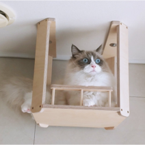 고양이 캣워커 하늘 교차로, 나무 천장 2개, 파스텔 아이보리