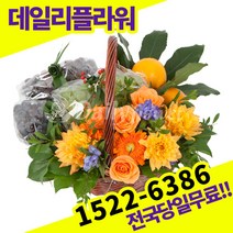 과일바구니 출산 집들이 선물 병문안 전국당일배송 꽃배달