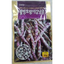 호랑이콩씨앗30g 호랑이강낭콩 얼룩이 덩굴 미래종묘