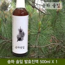 송하솔잎효소 솔잎효소 솔잎발효진액 500ml 전통발효진액 액상효소