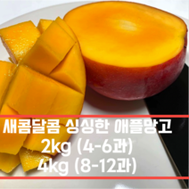 프리미엄 고당도 애플망고 2kg 4kg 선물세트 100% 항공수입 망고 골드 최고급 애플망고 과일 가정용 선물용 2키로 4키로, 2kg(4-6과)