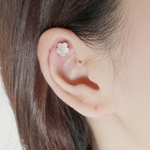 미스21세니사피 피어싱 (er2293)