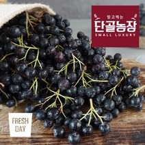 프레시데이 (산지직송) 고창 아로니아 생과 (냉동) 2kg, 1