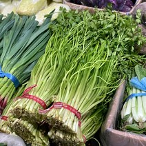 원동FS 국내산 미나리 1단, 450g 내외