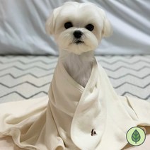 [개달당]오가닉블랭킷 강아지블랭킷_중형/대형 강아지타올 고양이타올 소형견이불 대형견타올