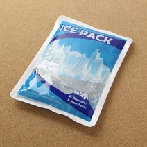 냉동식품 아이스팩 (중) 4개 냉매팩 젤아이스팩 보냉제 아이스젤 아이스보냉팩 냉동팩