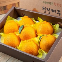 고당도 제주 한라봉 3kg 특품 당도보장, 선물용 한라봉 3kg(대과)