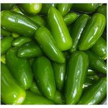 할라피뇨 퍼팩트 아삭이 고추[국산], 1개, 1kg