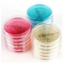 표면의 균검사 [생배지] 로닥플레이트-진균(SDA) (1plate)BF-397 표면세균검사