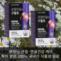 정성홍의 녹십자웰빙 관절 연골 엔 구절초 추출물 리나린 국내산 식물성 원료 특허 30정 2개