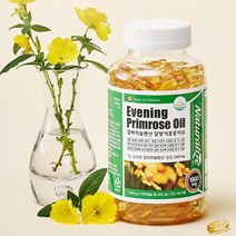 여성 달맞이꽃 종자 추출물 PMS 영양제 달맞이꽃종자유 갱년기에좋은 달맞이오일 콜레스트롤 엄마선물 생리