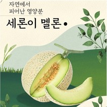 세지메론 세론이멜론 정품 나주메론 13brx 4수 노마진, 흰박스(11브릭스)5수 한통