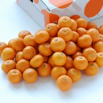 제주 서귀포 제철 타이벡 감귤 S-M 로얄과 1박스, 사이즈M(10kg