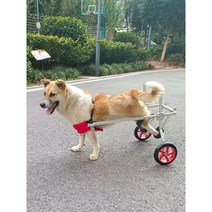 강아지휠체어 뒷다리 재활훈련 반려동물 보행기 애견 보조기 장애견 산책, E. 4륜 L(36-65파운드)