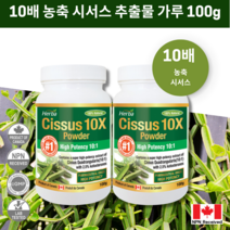 시서스 가루 분말 100g 10배 농축 캐나다 식약처 인증 허바캐나다, 2병