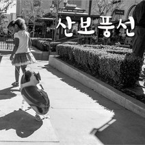 산보풍선/풍선 산책풍선 헬륨풍선 호일풍선 동물풍선, 9.코기