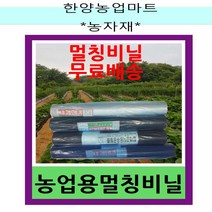 농자재-농업용멀칭비닐 HD 하이덴 필름 500m 농사용 텃밭비니루 투명 흑색 배색, 선택8. 두께0.015폭150X길이500흑색