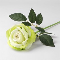 (주)트리 인천가정지사 로즈가든 벨벳 장미 조화(그린) 파티소품 (6805363)