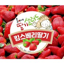 논산 킹스베리 만년설딸기 선물용딸기 대왕딸기, 킹스베리 실속형 / 실속형 1kg (36과 내외)
