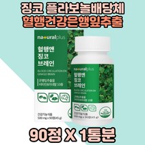 혈행건강 징코 브레인 은행잎추출물 기억력개선 도움 1통 기억력도움 40대 징코영양제 중년 진코 징코영양제 징코브레인 브레인징코 은행잎 은행나무잎추출물 아버지 어머니 노부모님 노년