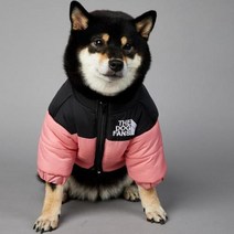 2023 SUPREPET패딩 개 겨울 옷 따뜻한 방풍 솔리드 코트 코튼 디자이너 대형 강아지 액세서리, 분홍색+XXL
