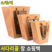 투명창 종이가방 1P 특이한 선물백 쇼핑가방 포장가방, 1개, 소